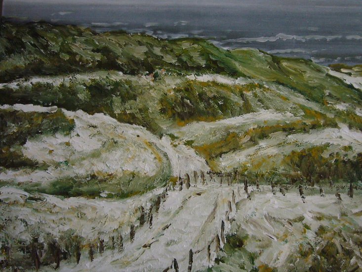 sneeuw in de duinen [1]