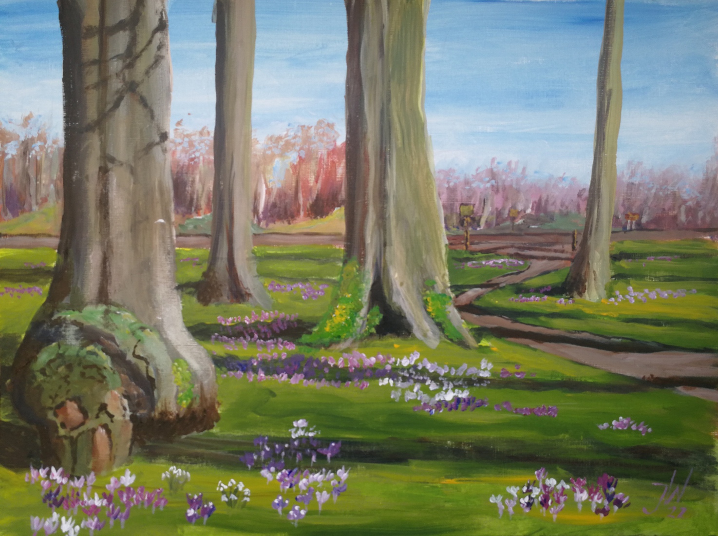 Krokussen bij Hackfort