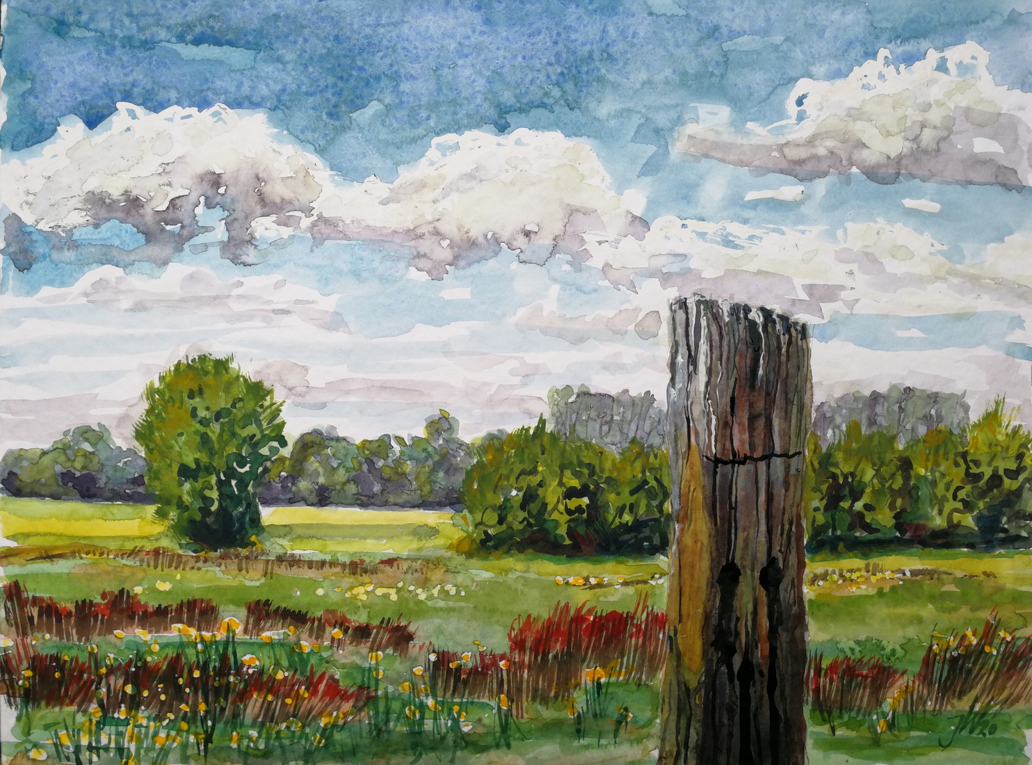 Uiterwaard Bronsbergen