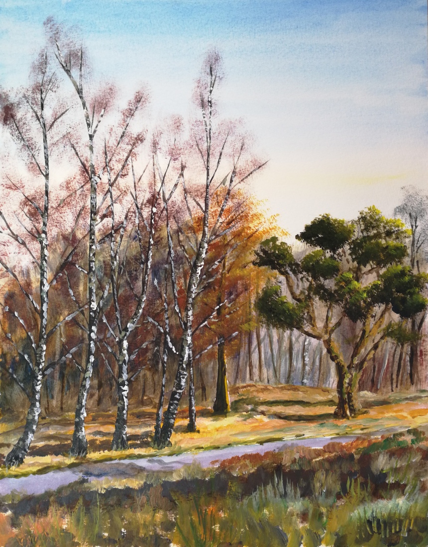 Berken op de Posbank