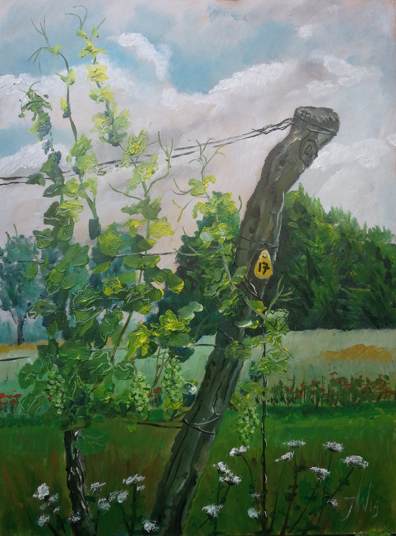 Wijngaard Heekenbroek, Drempt