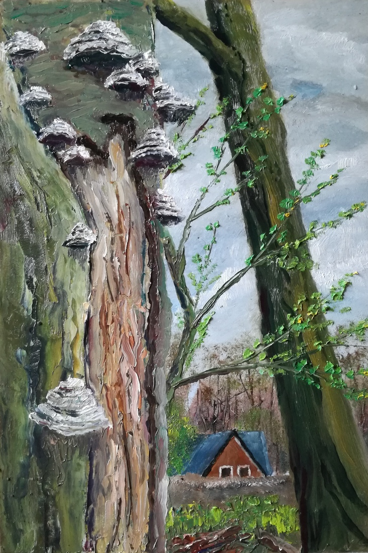 Boom met zwammen, Hoog Soeren