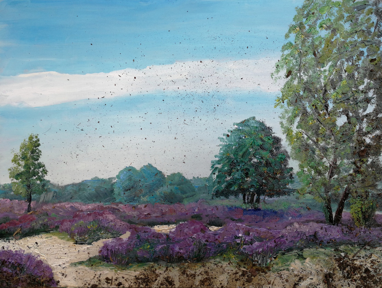 Posbank, zand en heide