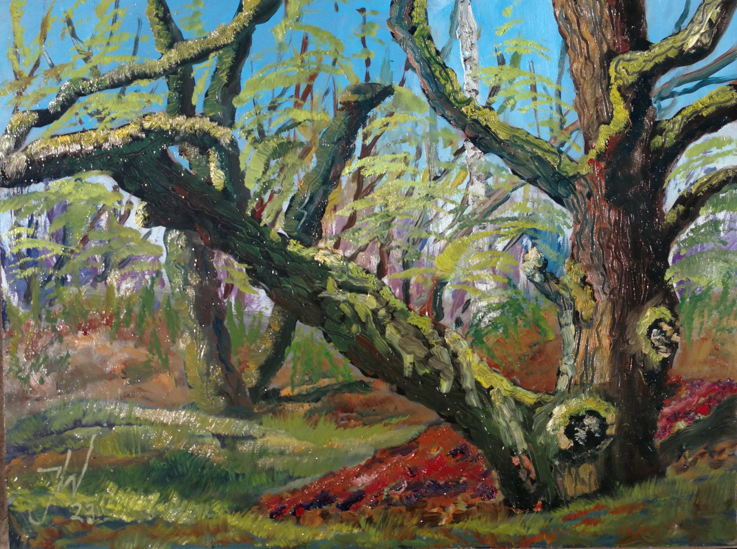 Wodanseiken, Wolfheze