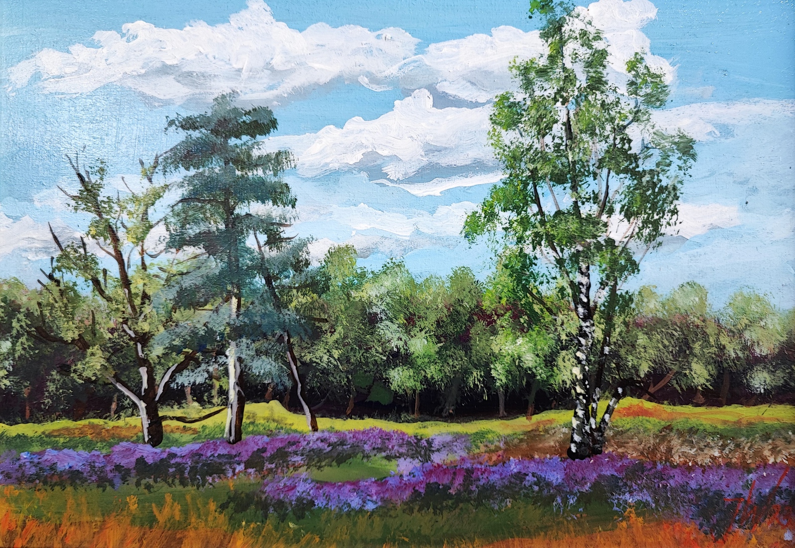 Gorsselse Heide in bloei