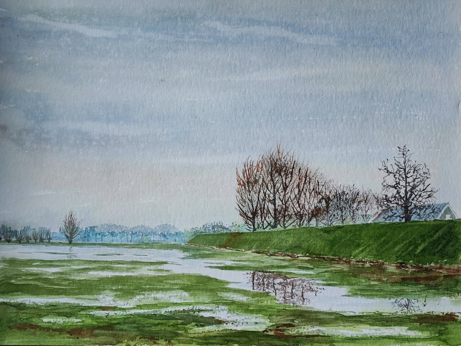 Uiterwaarden bij Bronkhorst