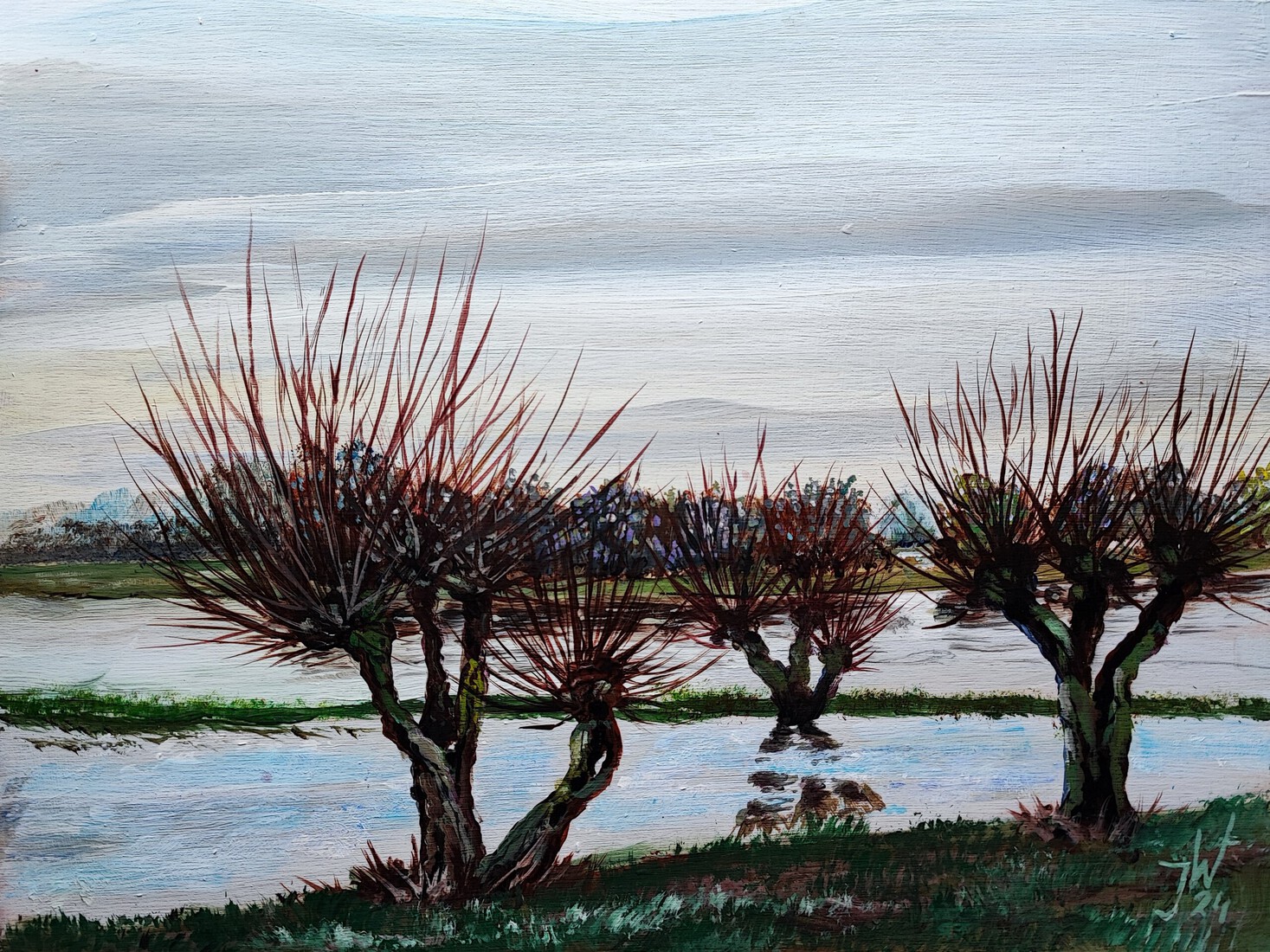 Hoog water, IJssel bij Bronkhorst