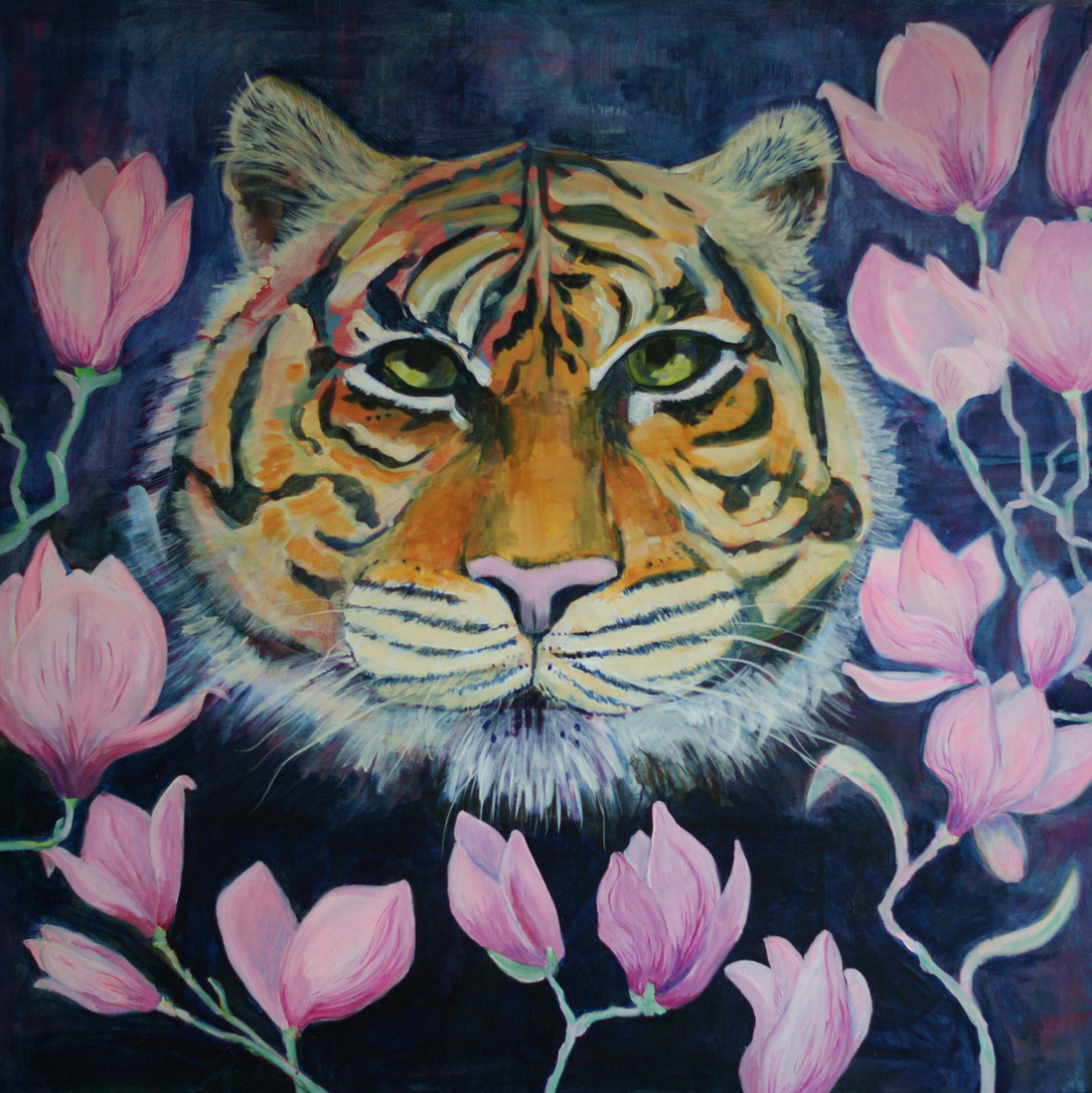 Tijger