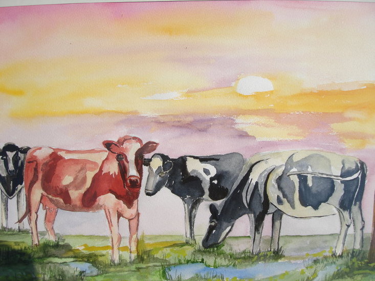 Koeien 5