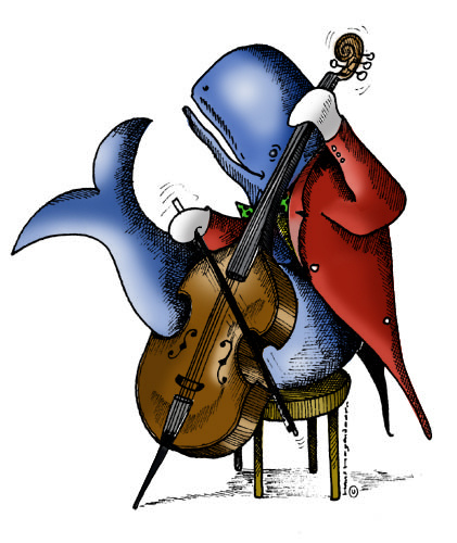 Cello walvis