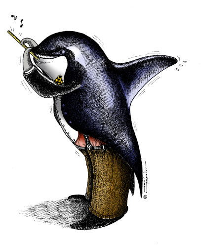 Orka piccolo
