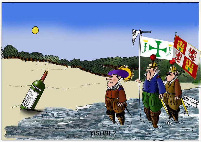 Tishbi Wine 10 (ntk)