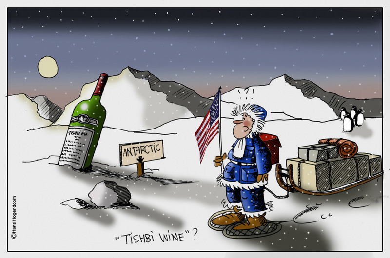 Tishbi Wine 12 ( ntk)