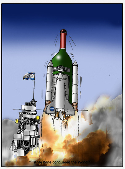 Tishbi Wine 16 ( ntk)