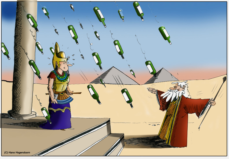 Tishbi Wine 7 ( ntk)