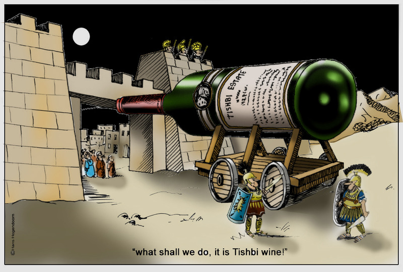 Tishbi Wine 9 (ntk)