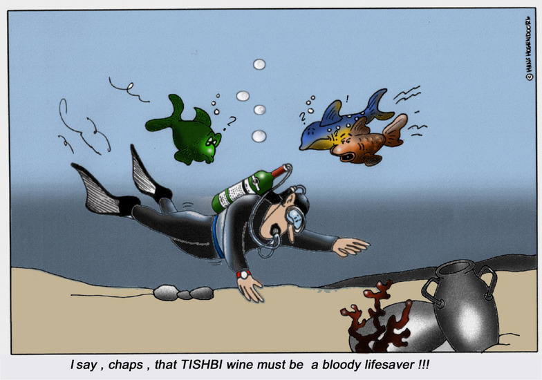 Tishbi Wine 17 (ntk)