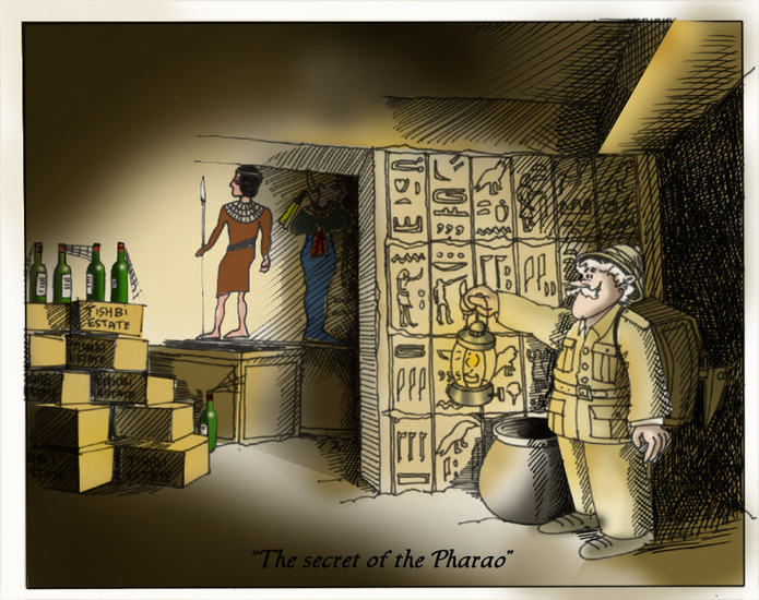 Tishbi Wine 1 ( ntk)