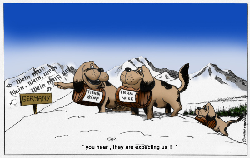 Tishbi Wine 15 (ntk)