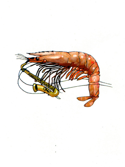 Sax spelende Garnaal