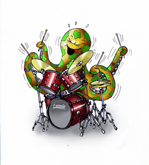 Drummende Octopus