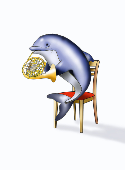 Dolfijn speelt op Franse Hoorn