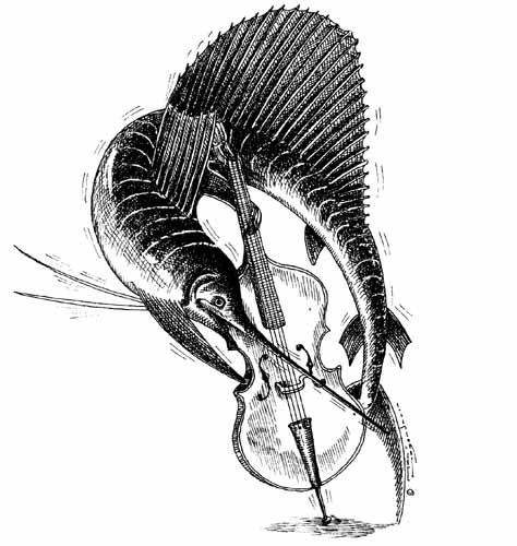 Cello zwaardvis (zwart/wit)