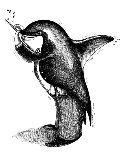 Picalo Orka (zwart/wit)