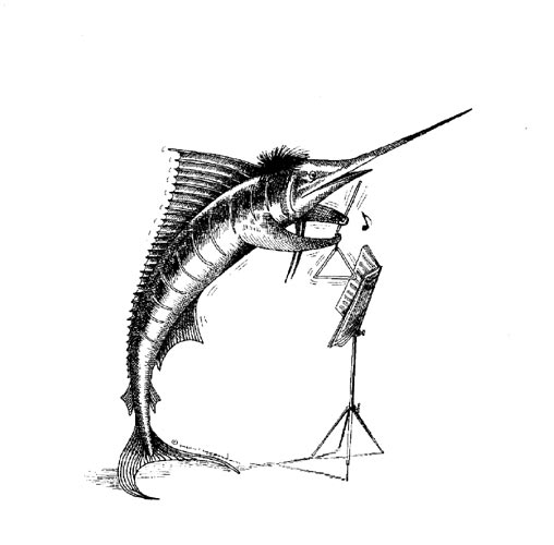 Triangel vis (zwart/wit)