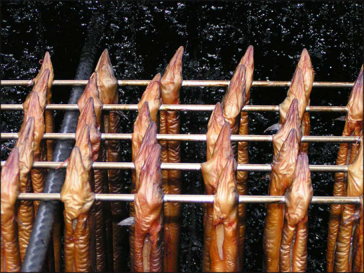 SMOKED EEL 2