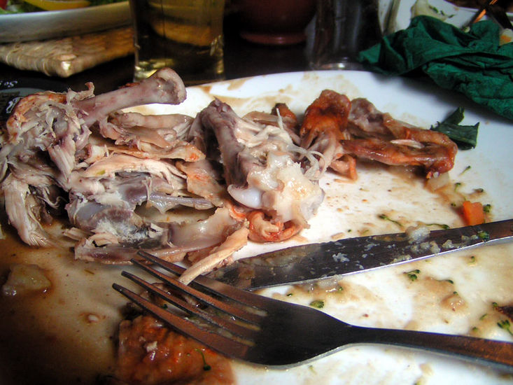CHICKEN LEFTOVER