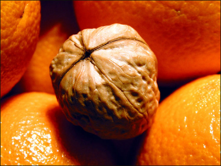 WALNUT