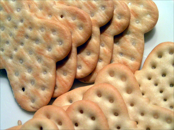 SALTED COOKIES