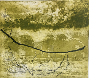 Selectie van etsen, houtsnede, lino