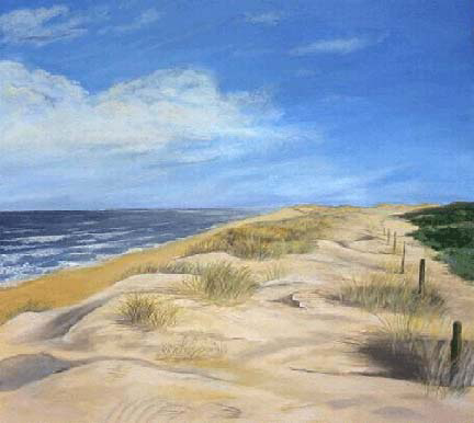 Duinen