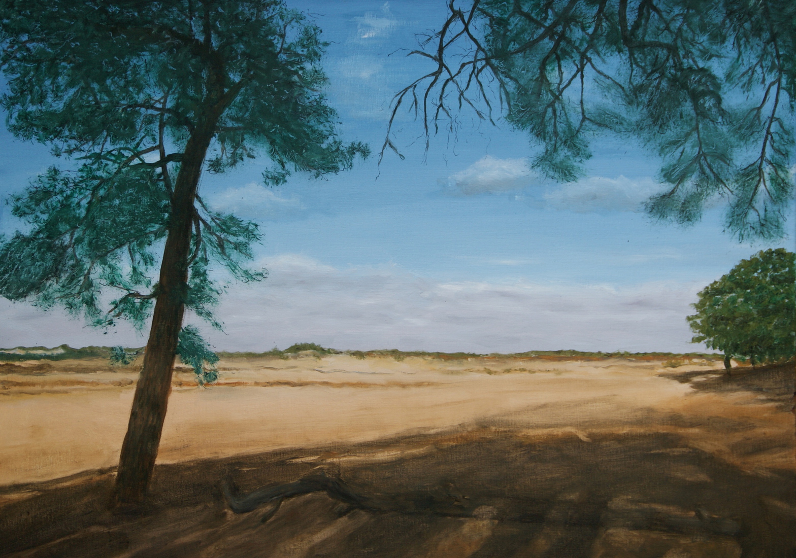 De Drunense duinen