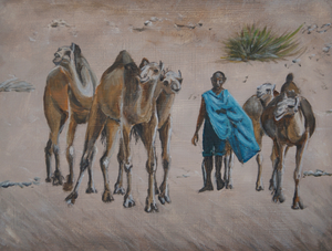 Beelden uit de Sahara