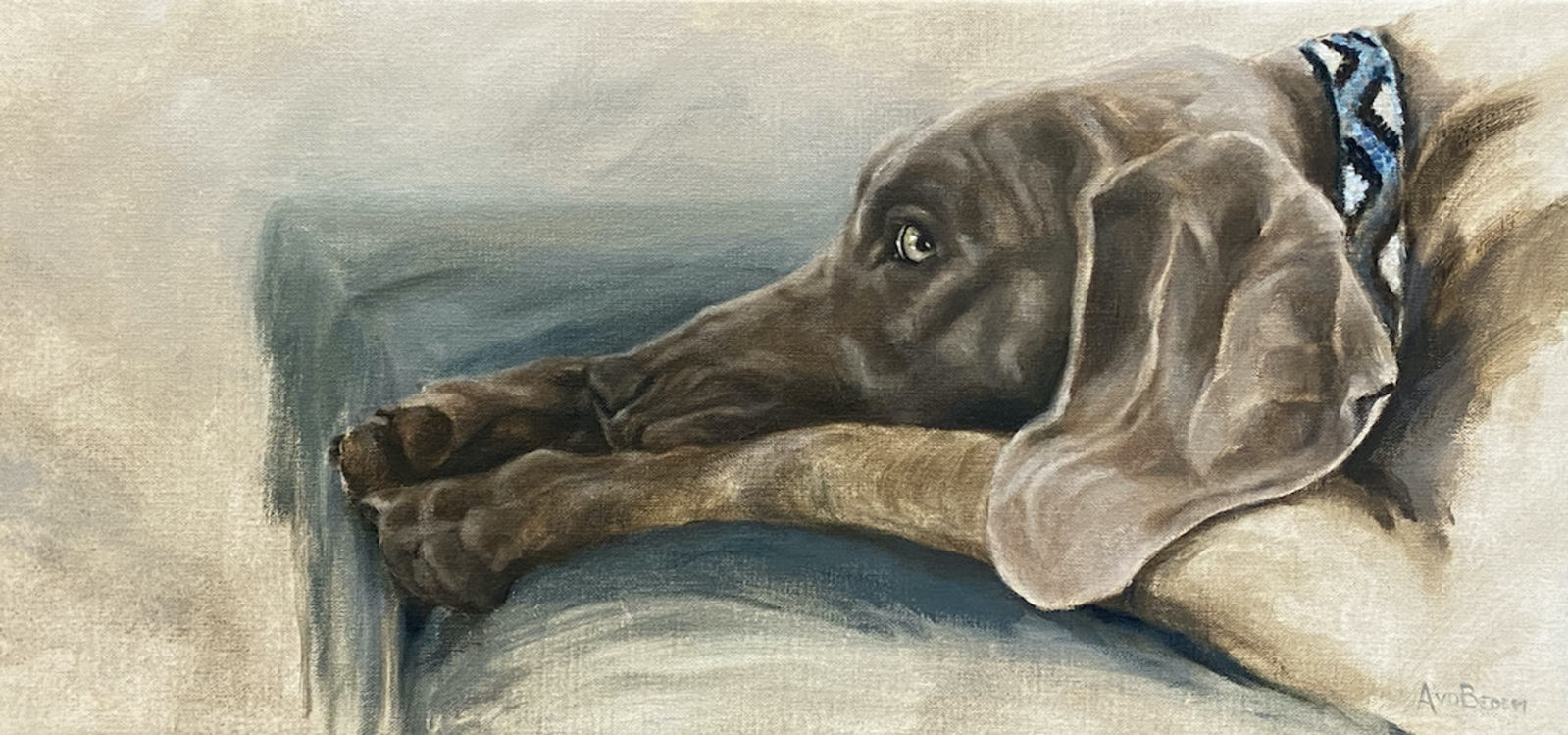 Weimaraner 2