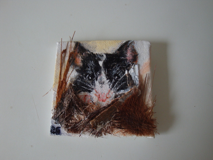 Nieuwsgierig bont muisje