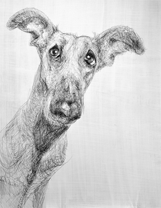 Werken met als thema dieren