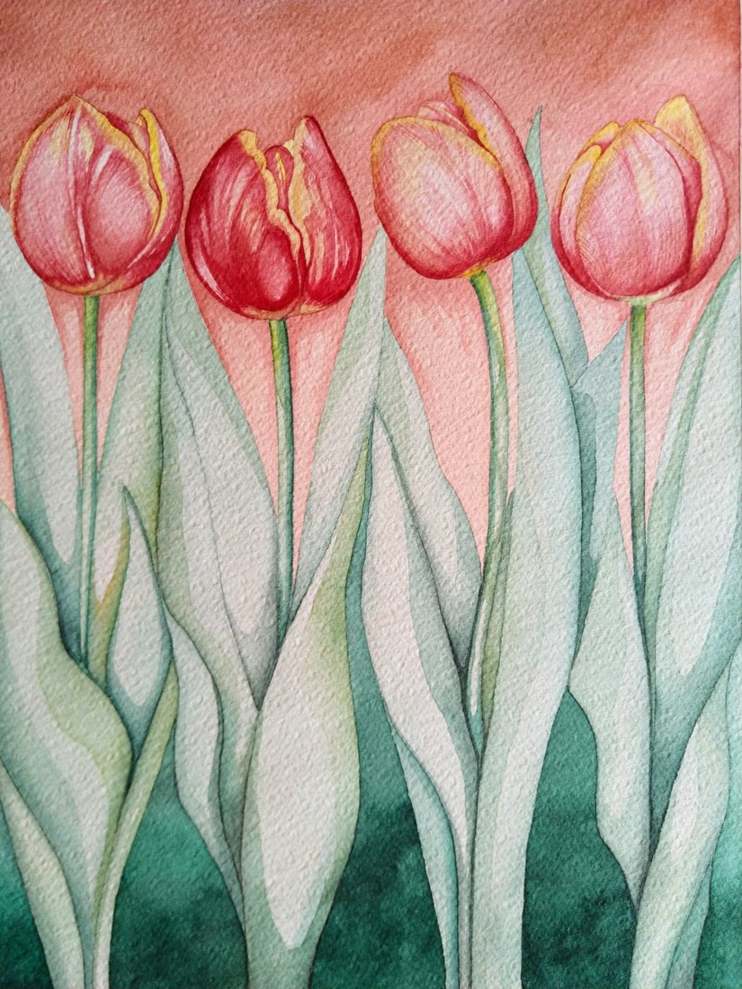 Bloemen:Tulipanes, Tulp, tulips