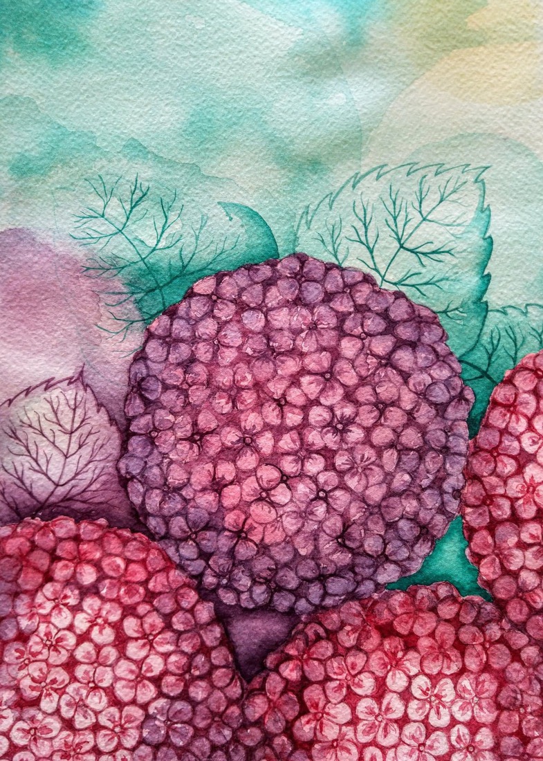 Bloemen - Flores - Flowers Hortencias