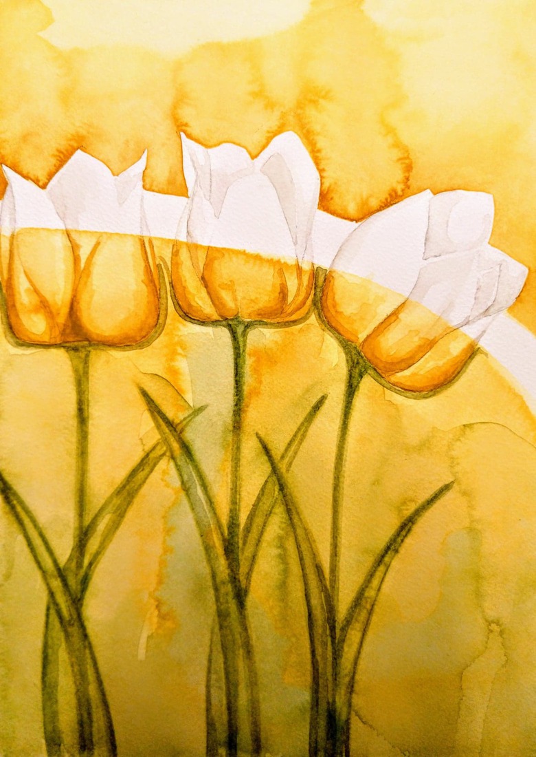 Bloemen:Tulipanes, Tulp, tulips