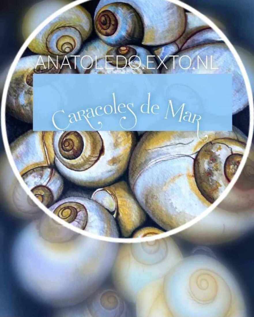 Cacaroles - Snails - Slakken