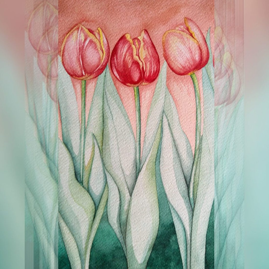 Bloemen:Tulipanes, Tulp, tulips
