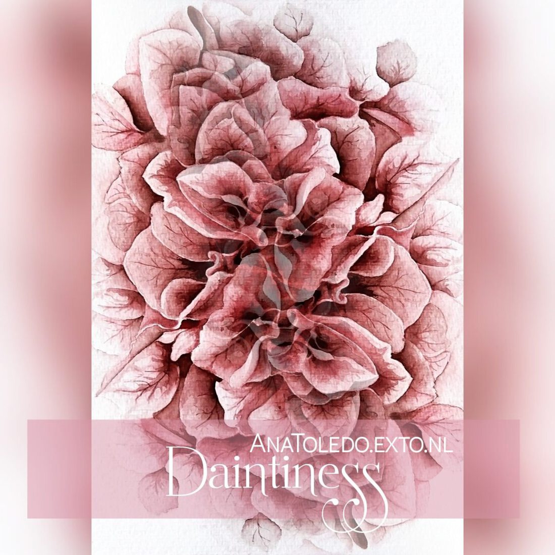 Alcatraces - Calas l