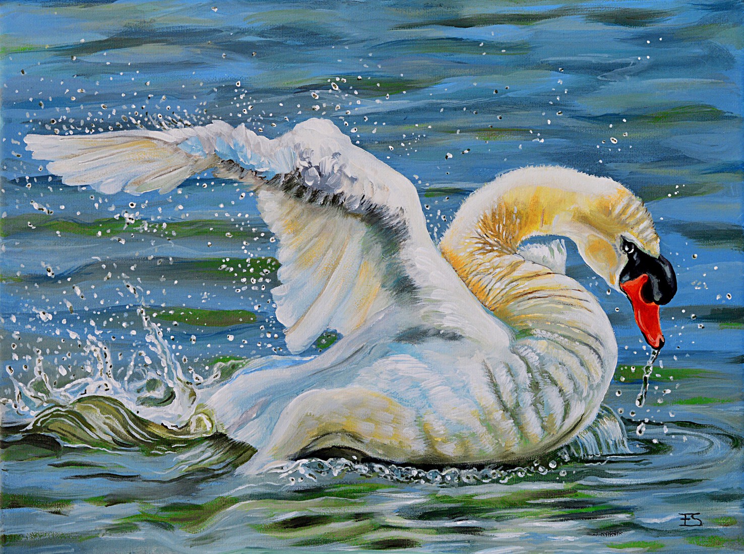Splashing Swan