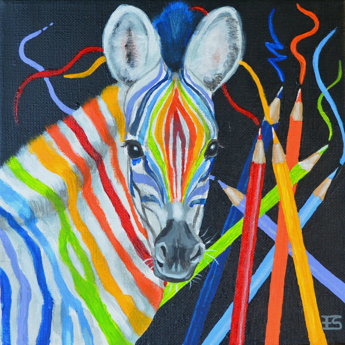 Regenboog zebra