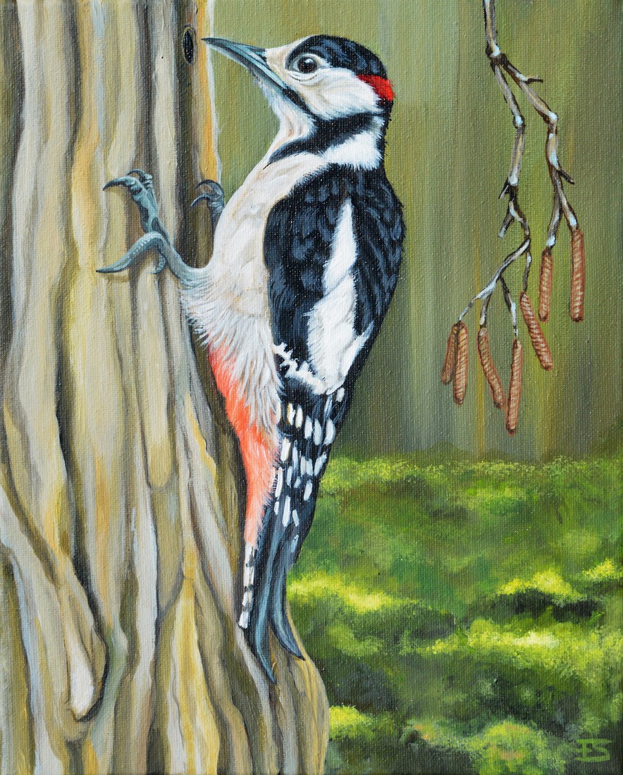 Woodpecker