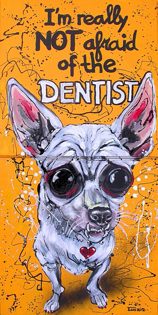 I'm really not afraid of the dentist!